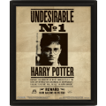 3D obraz Harry Potter - Sirius